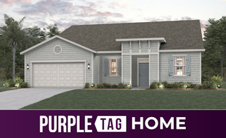 Purple Tag Home Lot 192 at Reserve East