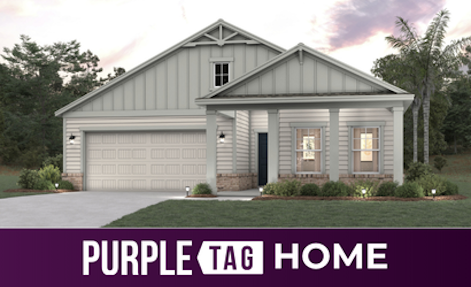 Purple Tag Home Lot 215 at Reserve East