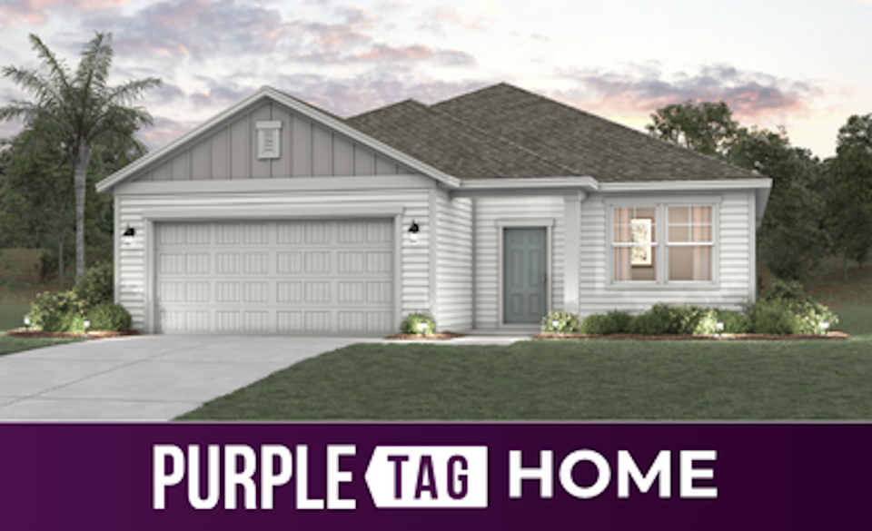 Purple Tag Home Lot 22 at Reserve East