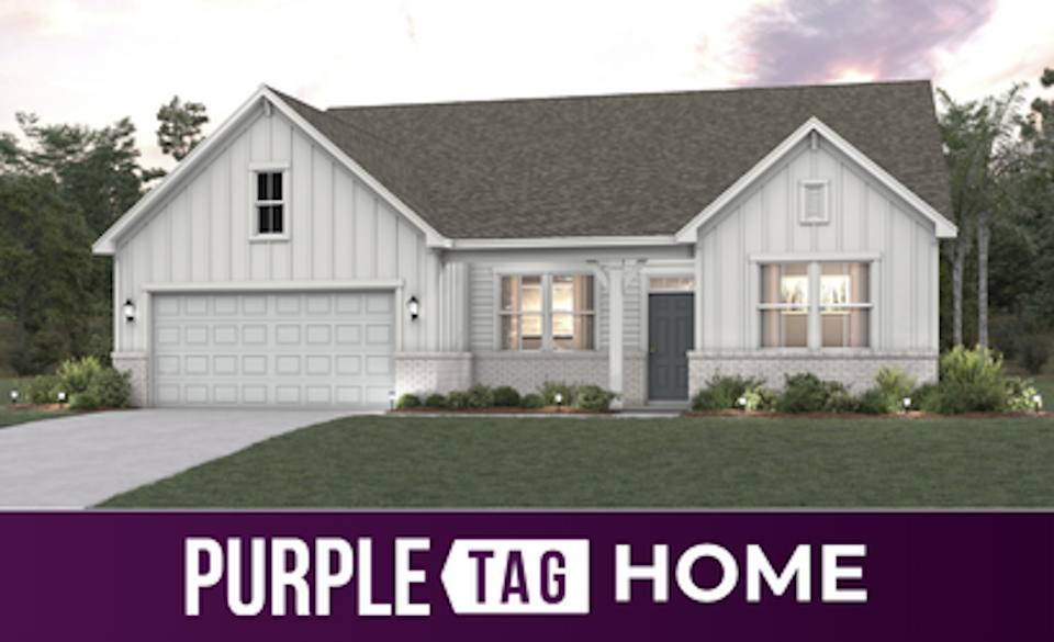 Purple Tag Home Lot 60 at Reserve East