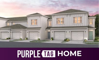 Lot 72 Purple Tag Home at The Villas at Bishop Oaks in Jacksonville