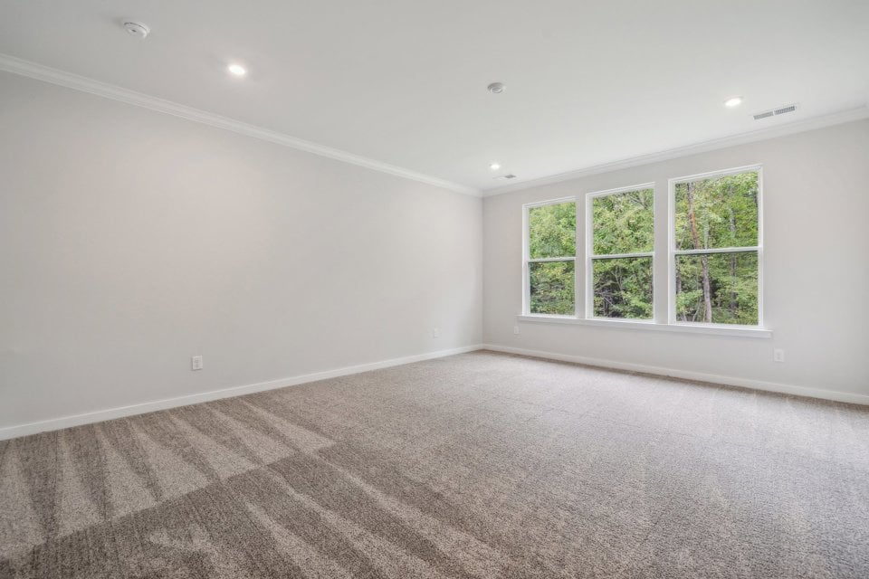 A room with a carpet and windows.