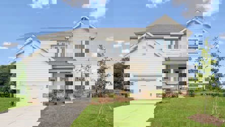 Daffodil C2 at Wynswept in Maiden, NC