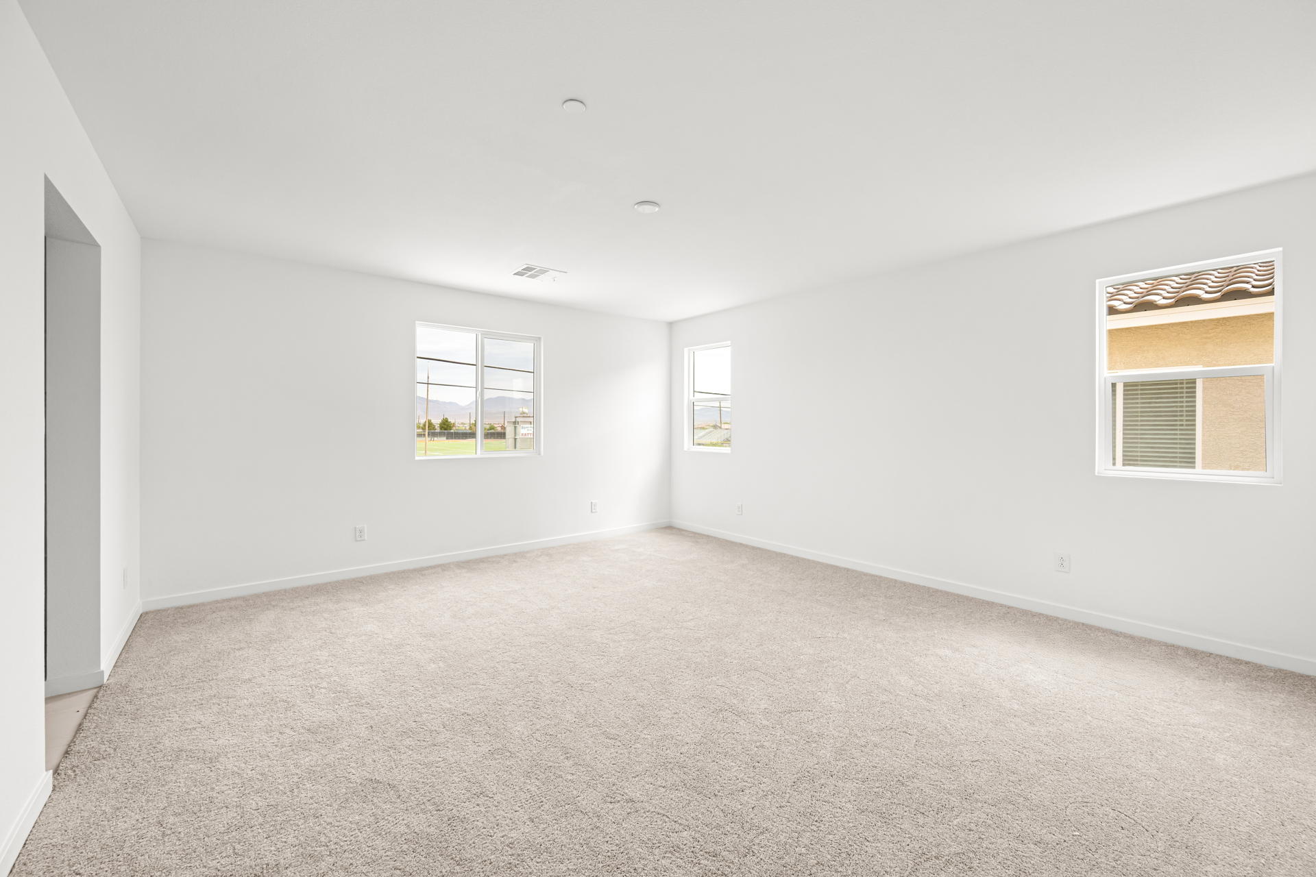 A room with a carpet and windows.