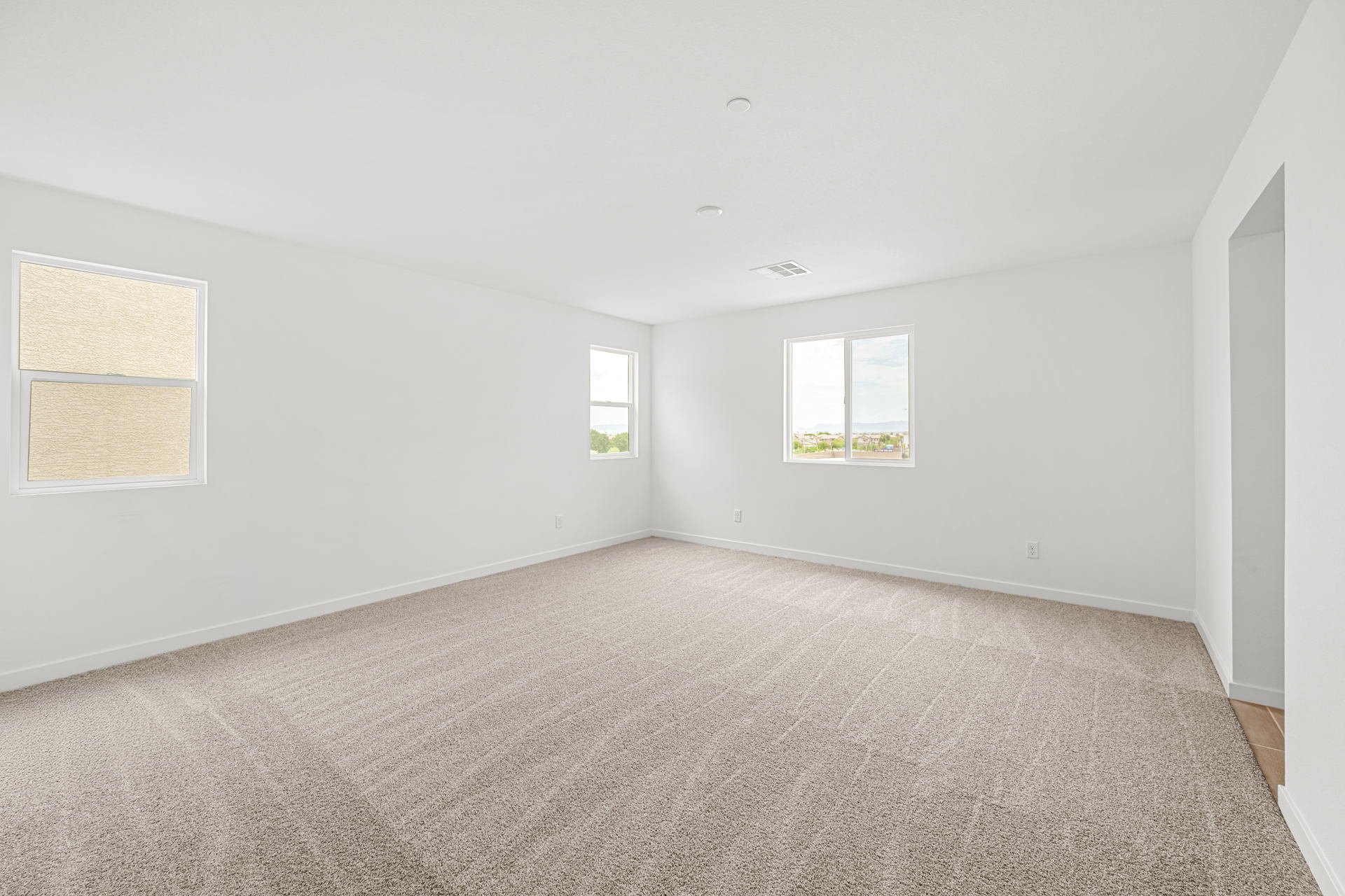 A room with a carpet and windows.