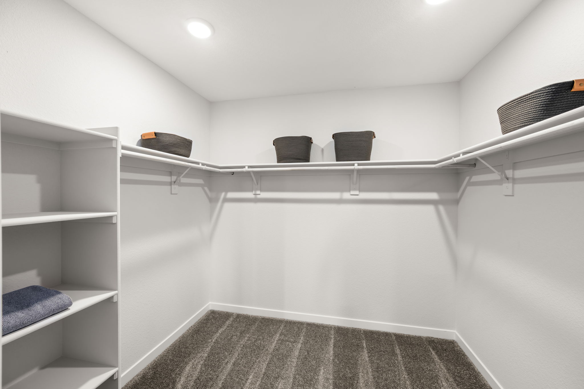 A white room with shelves and a rug.