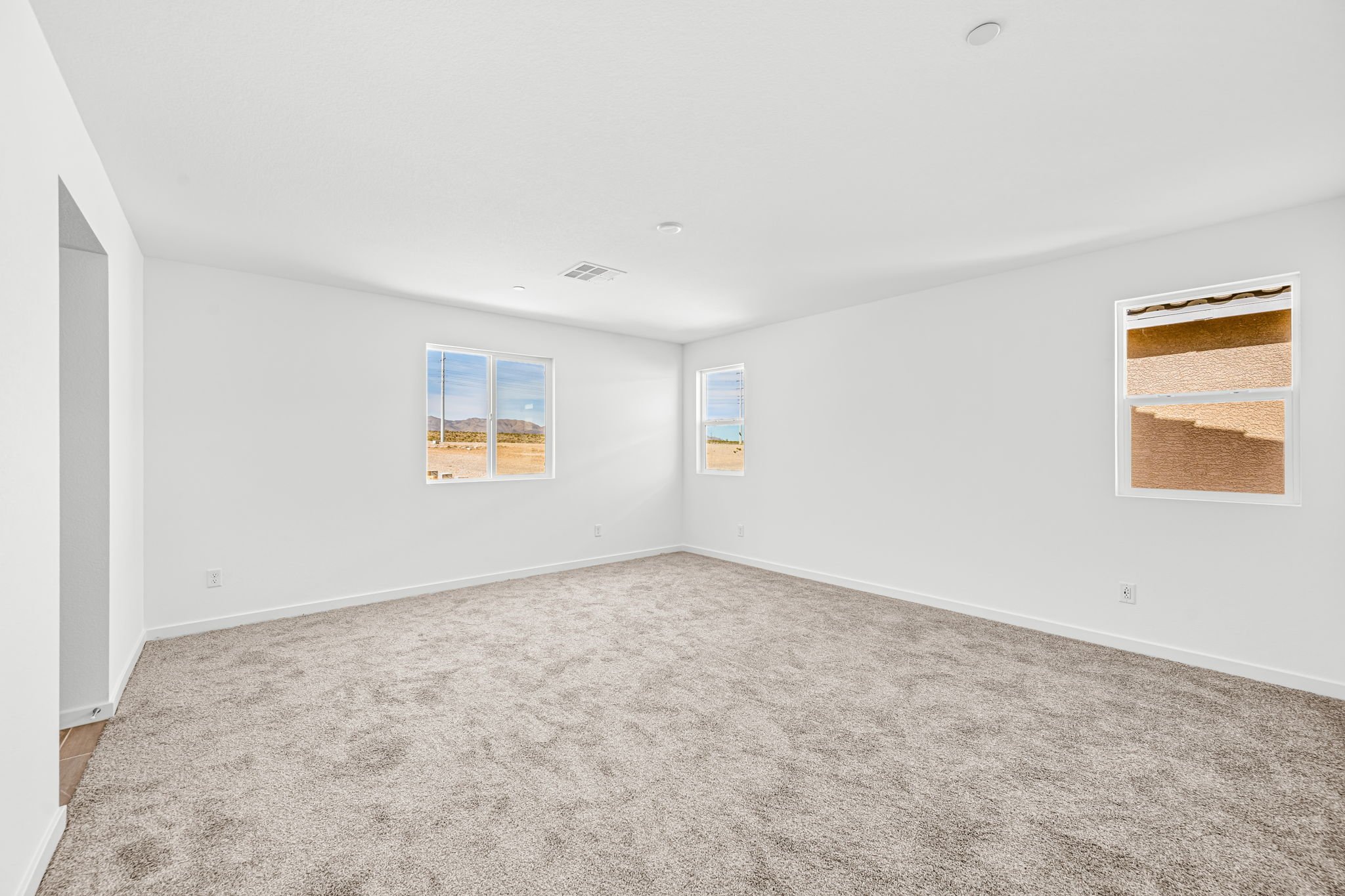 A room with a carpet and windows.