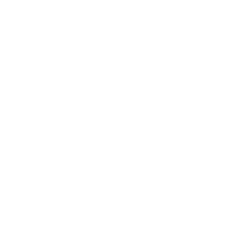 Step 3 icon