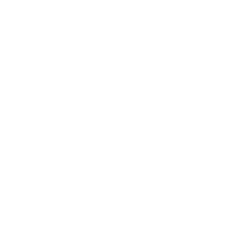 Step 2 icon