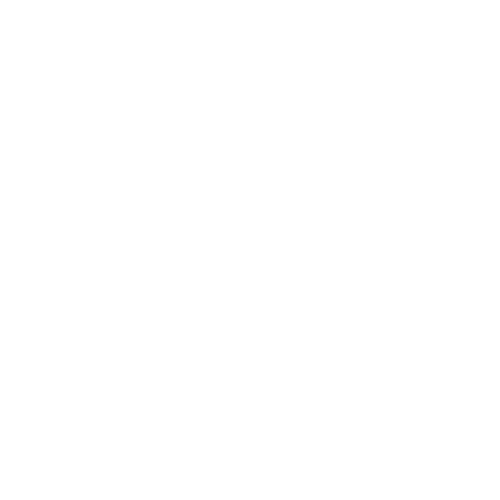 Step 5 icon