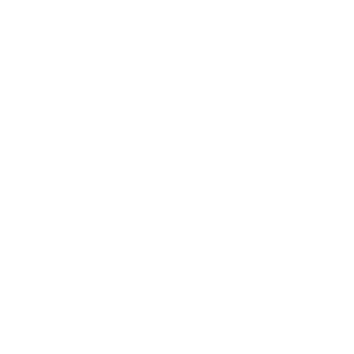 Step 4 icon