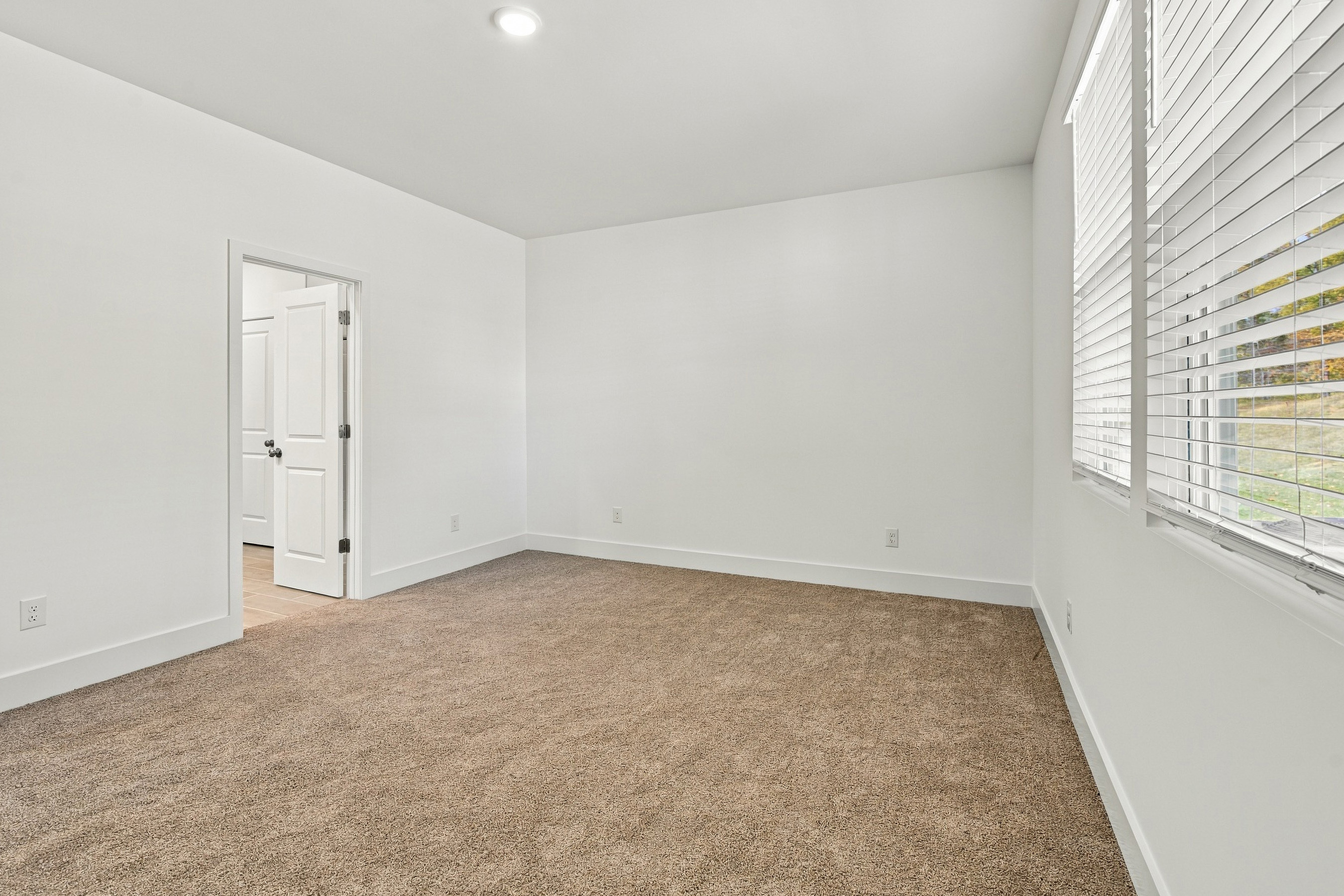 A room with a carpet and a door.
