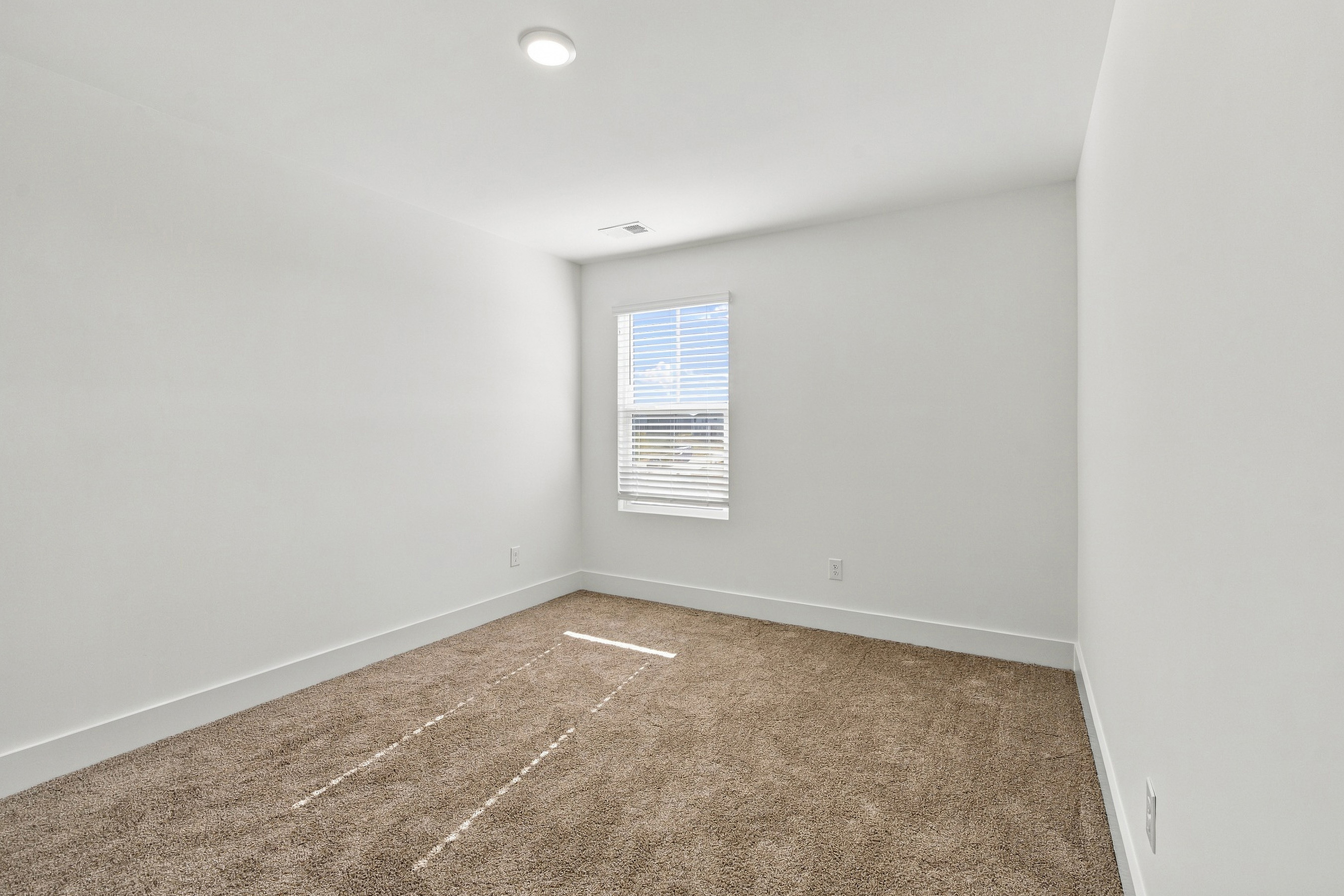 A room with a carpet and a window.