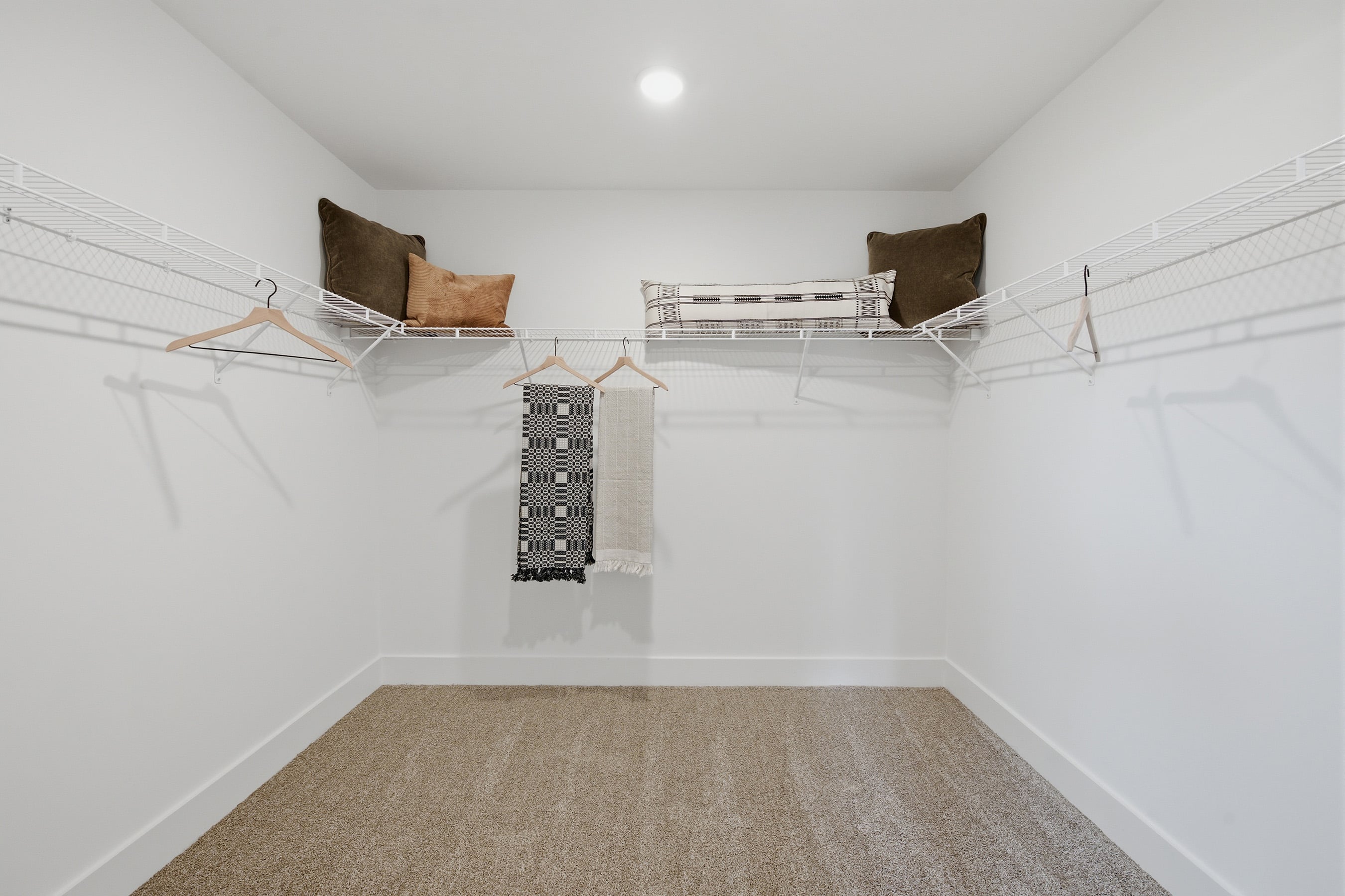 A room with a staircase and a rug.