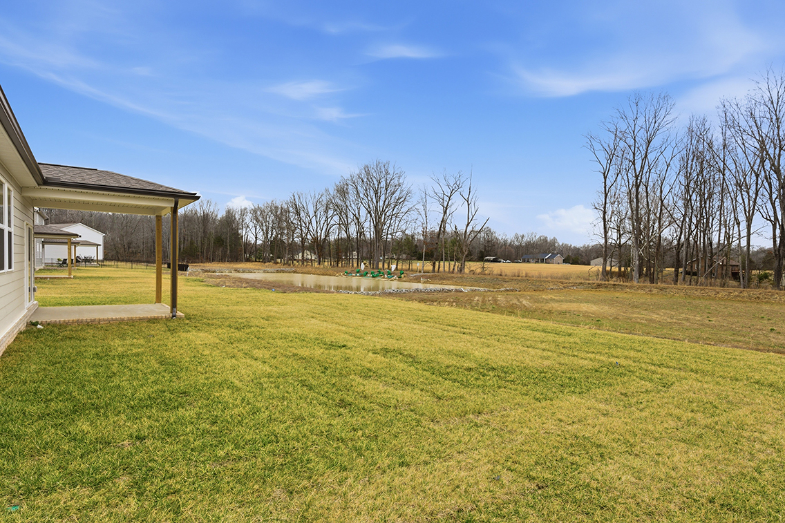 A grassy area with trees in the background.