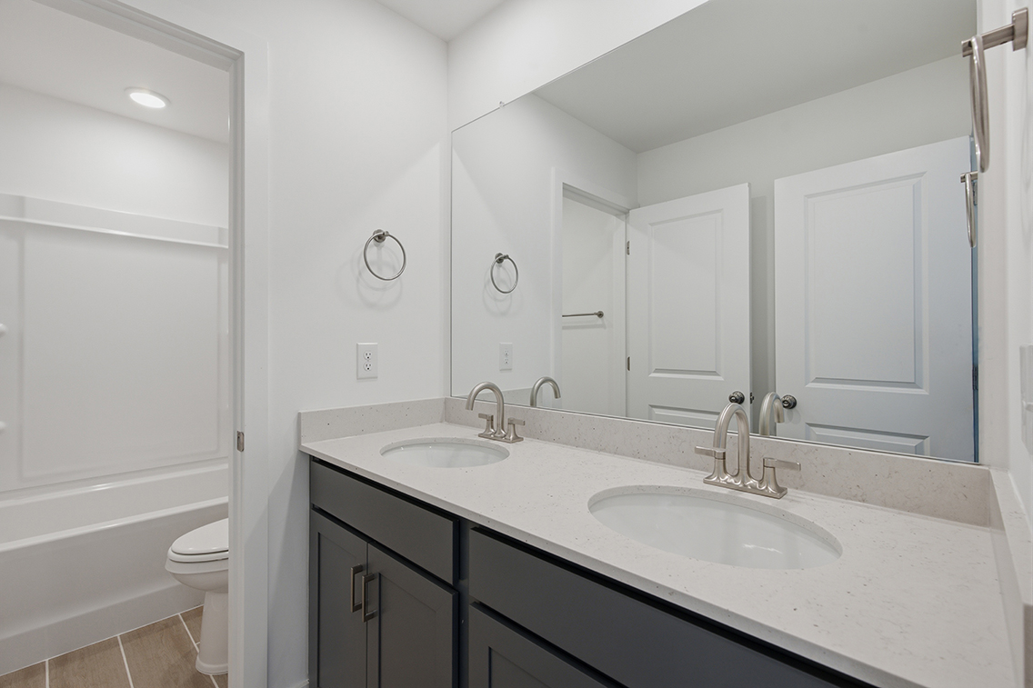 A bathroom with a sink and a toilet.