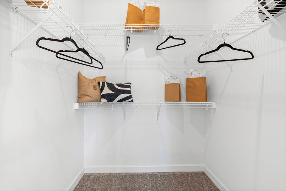 A cat lying on a shelf.