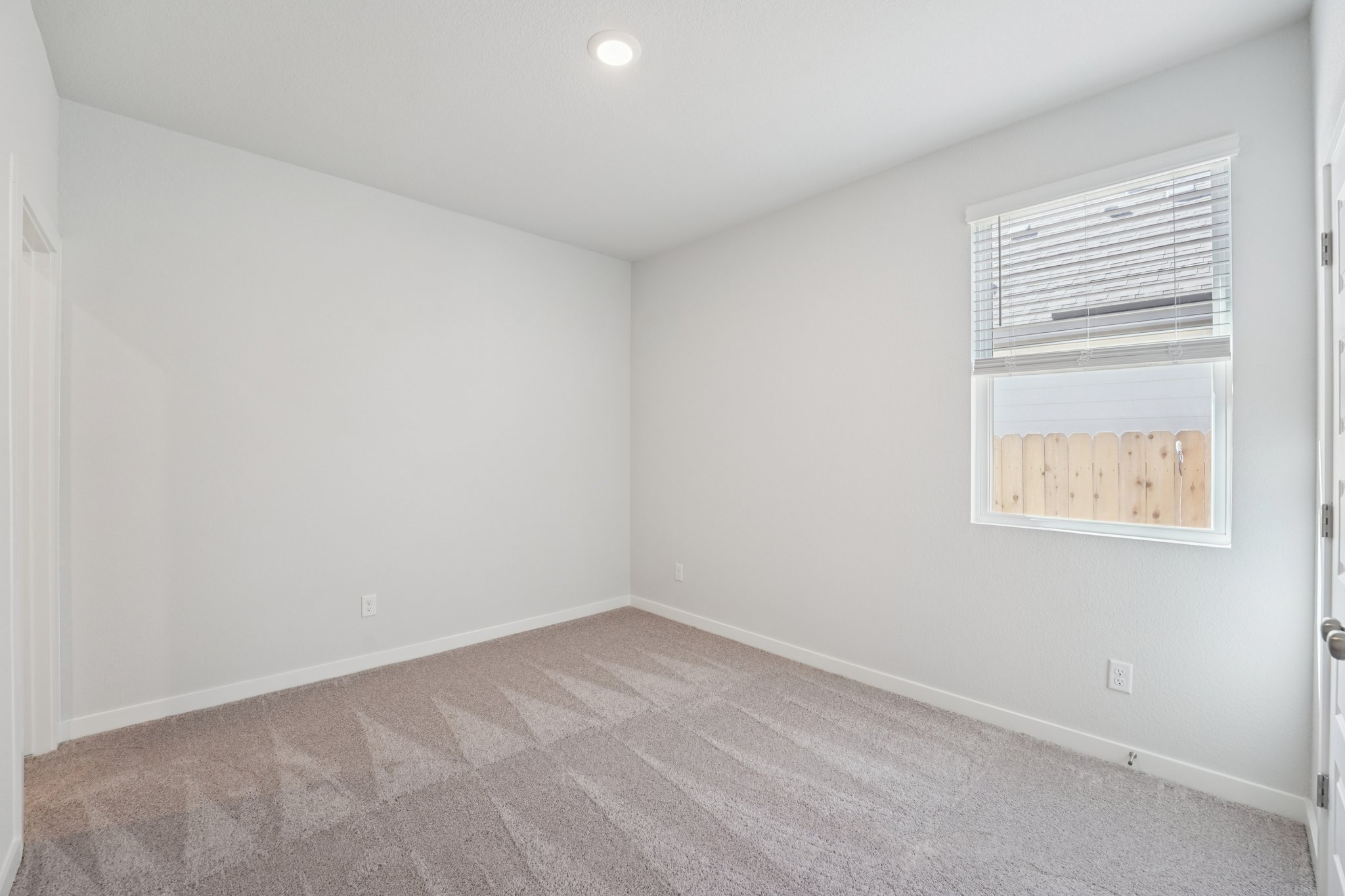 A room with a carpet and windows.