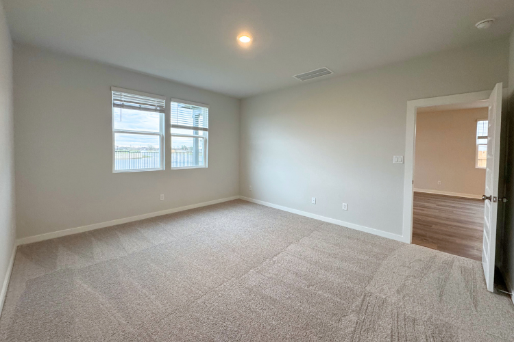 A room with a carpet and windows.