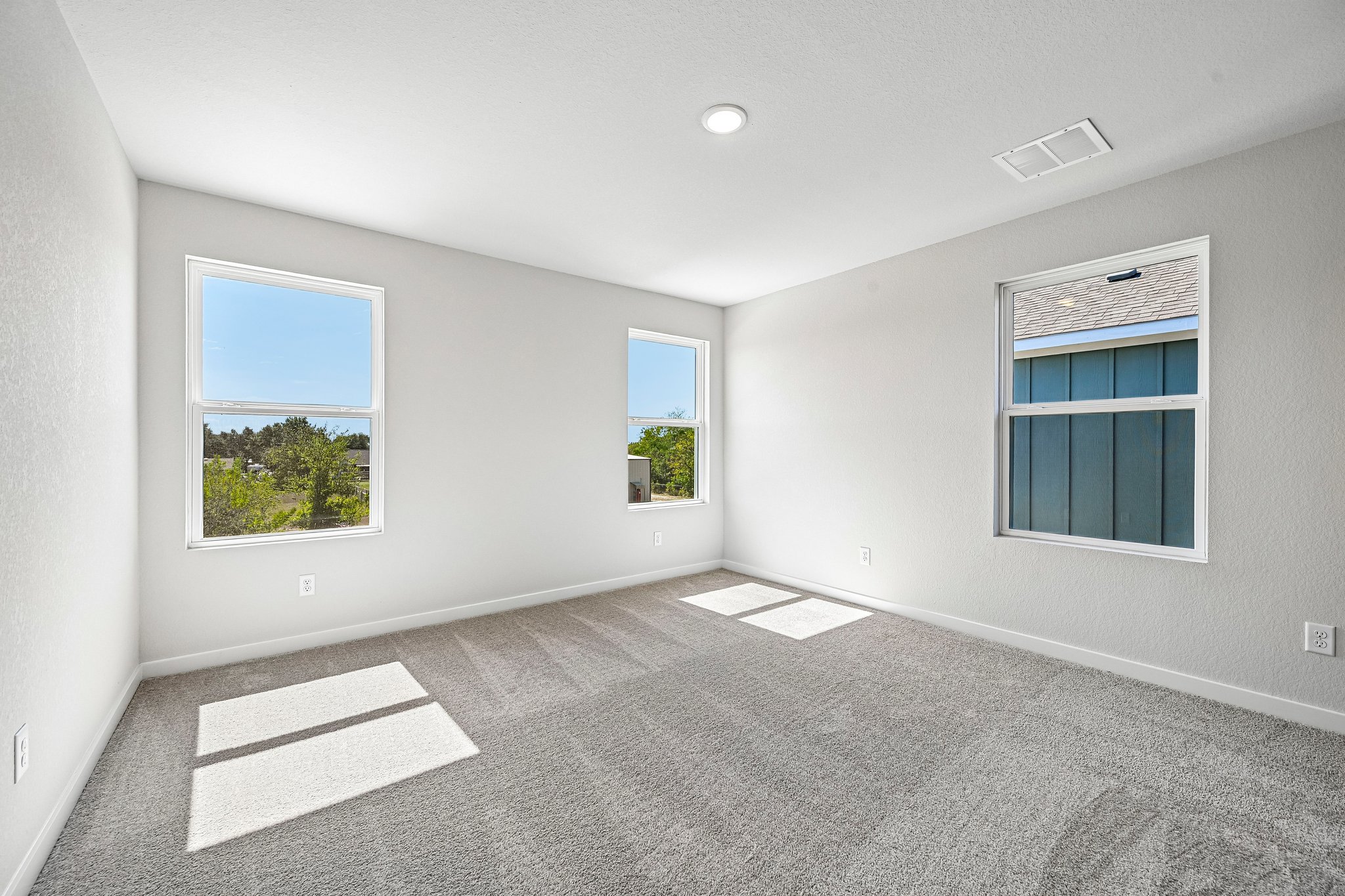 A room with windows and a rug.
