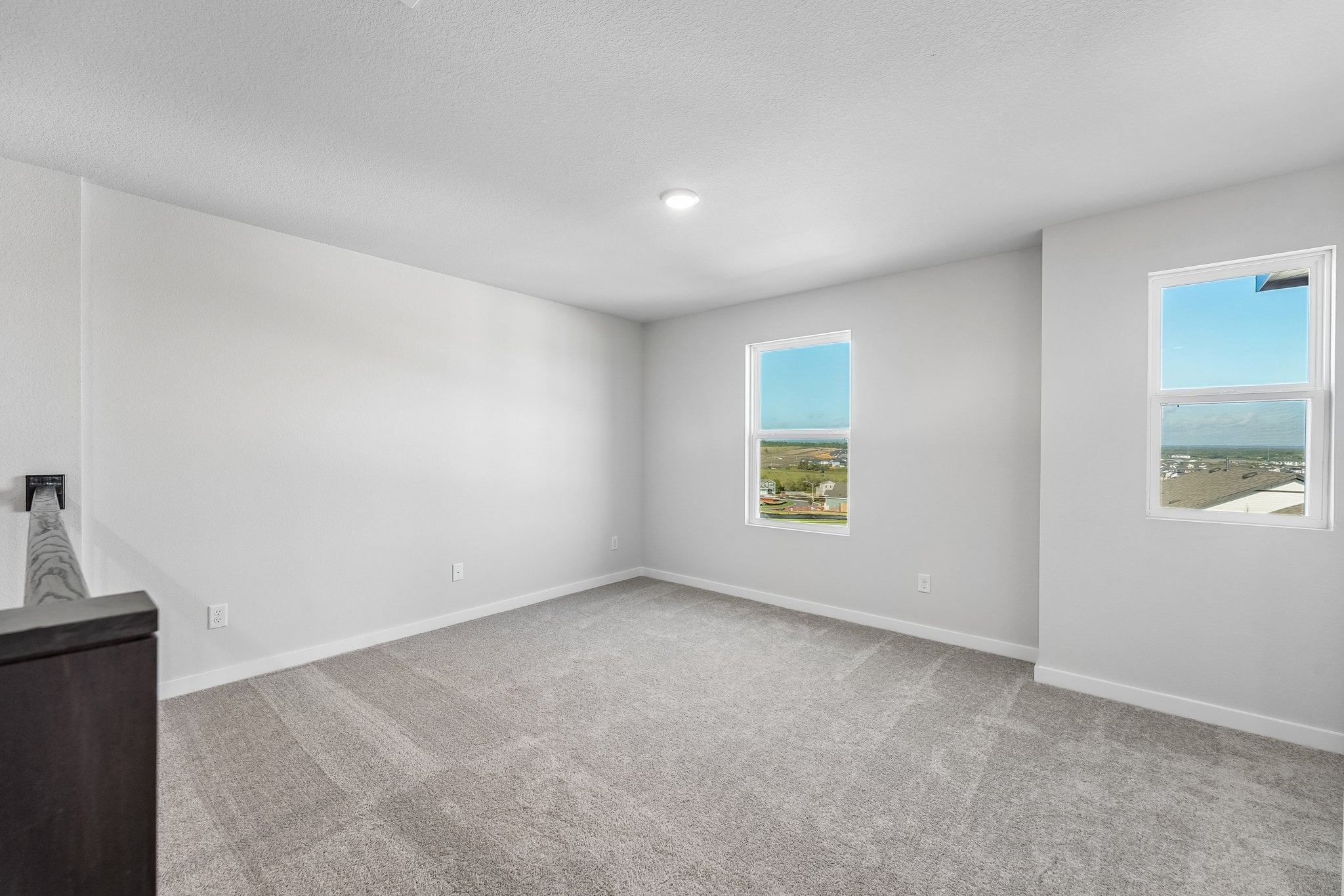A room with a carpet and windows.