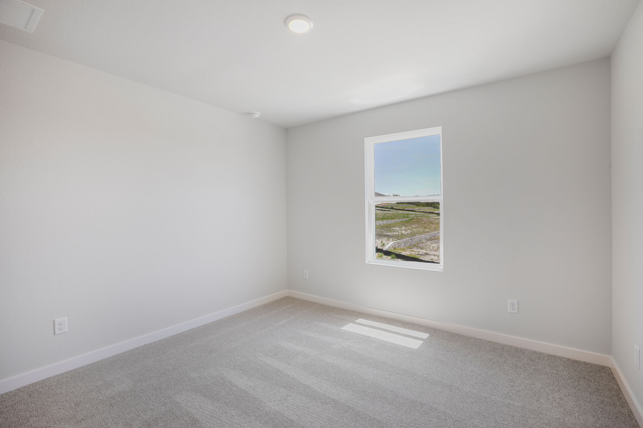 A room with a window and a rug.