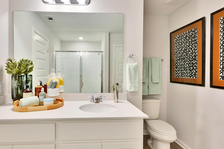 A bathroom with a sink toilet and mirror.