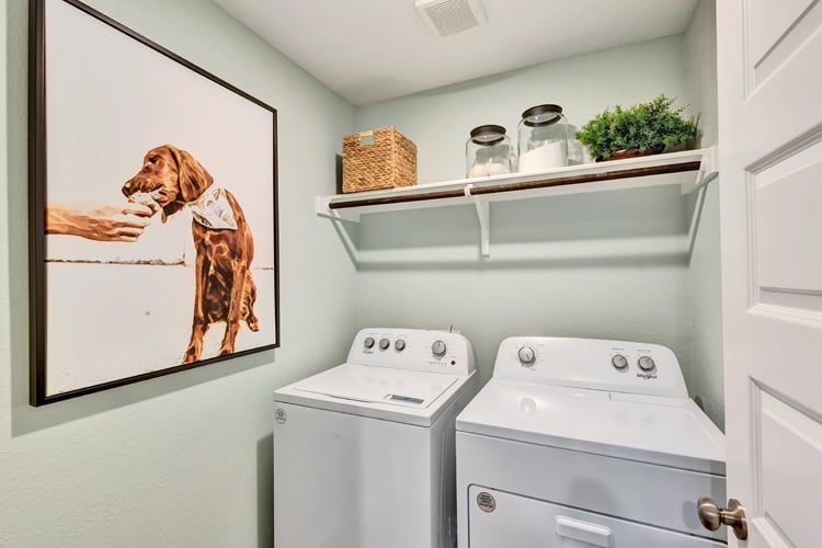 A picture on a wall.