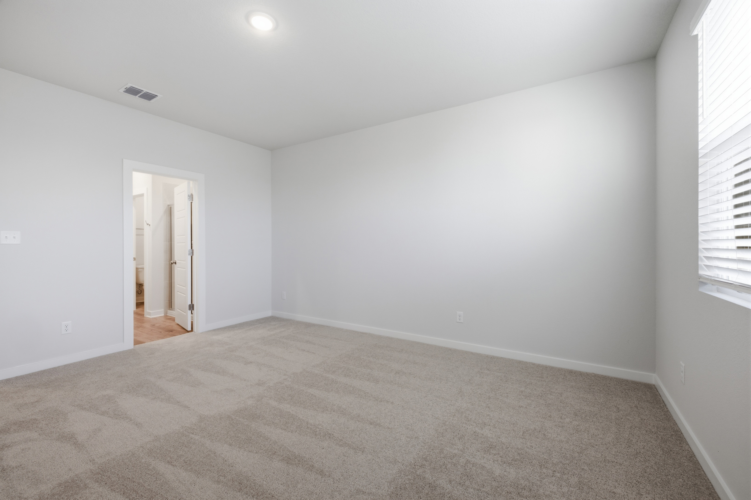 A room with a carpet and a door.