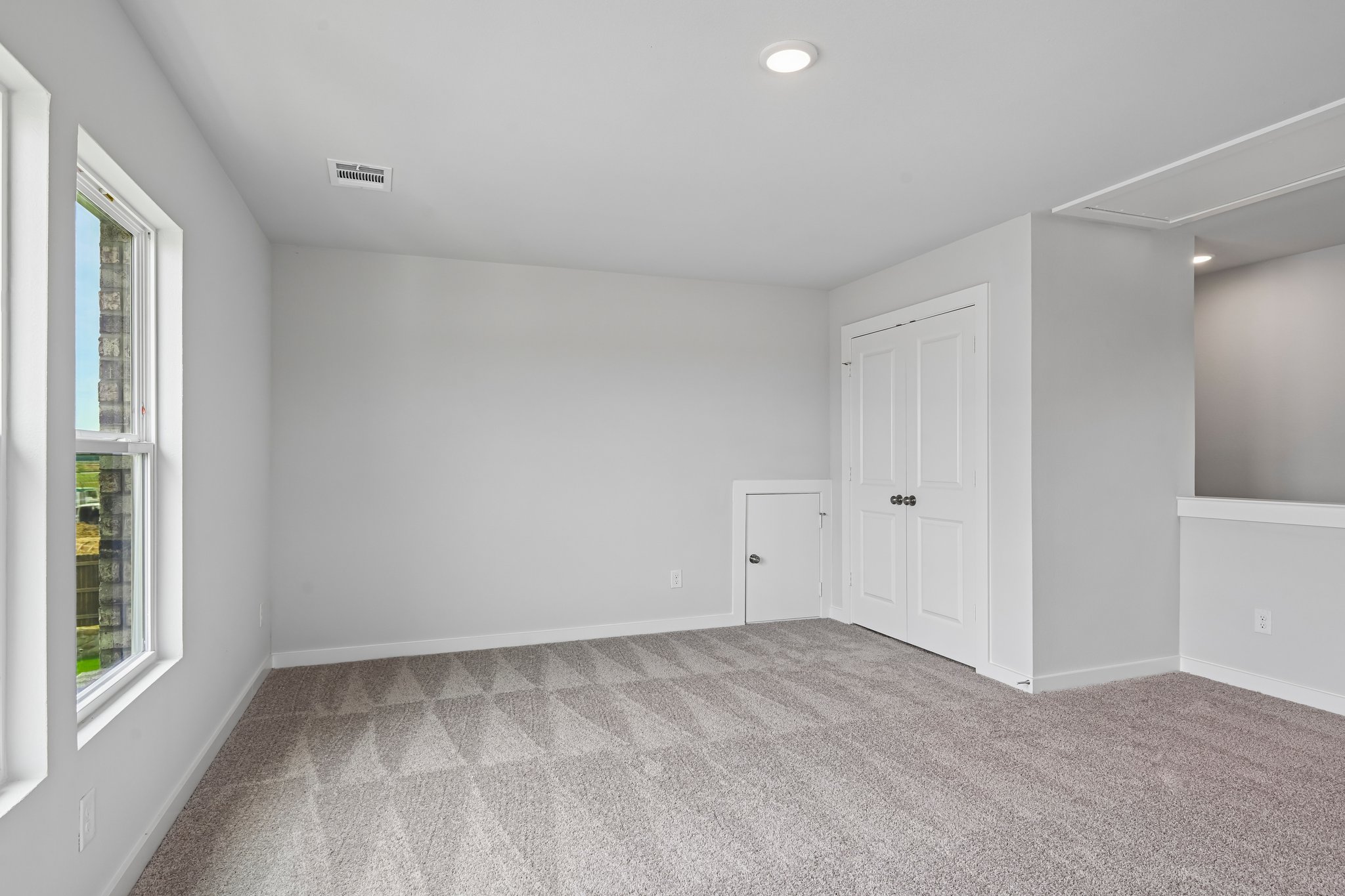 A room with white walls and a carpet.