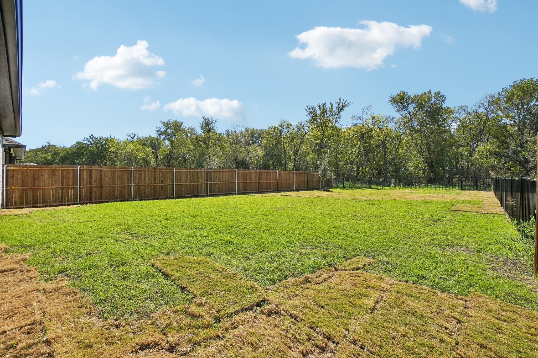 A fenced in yard with trees in the background.