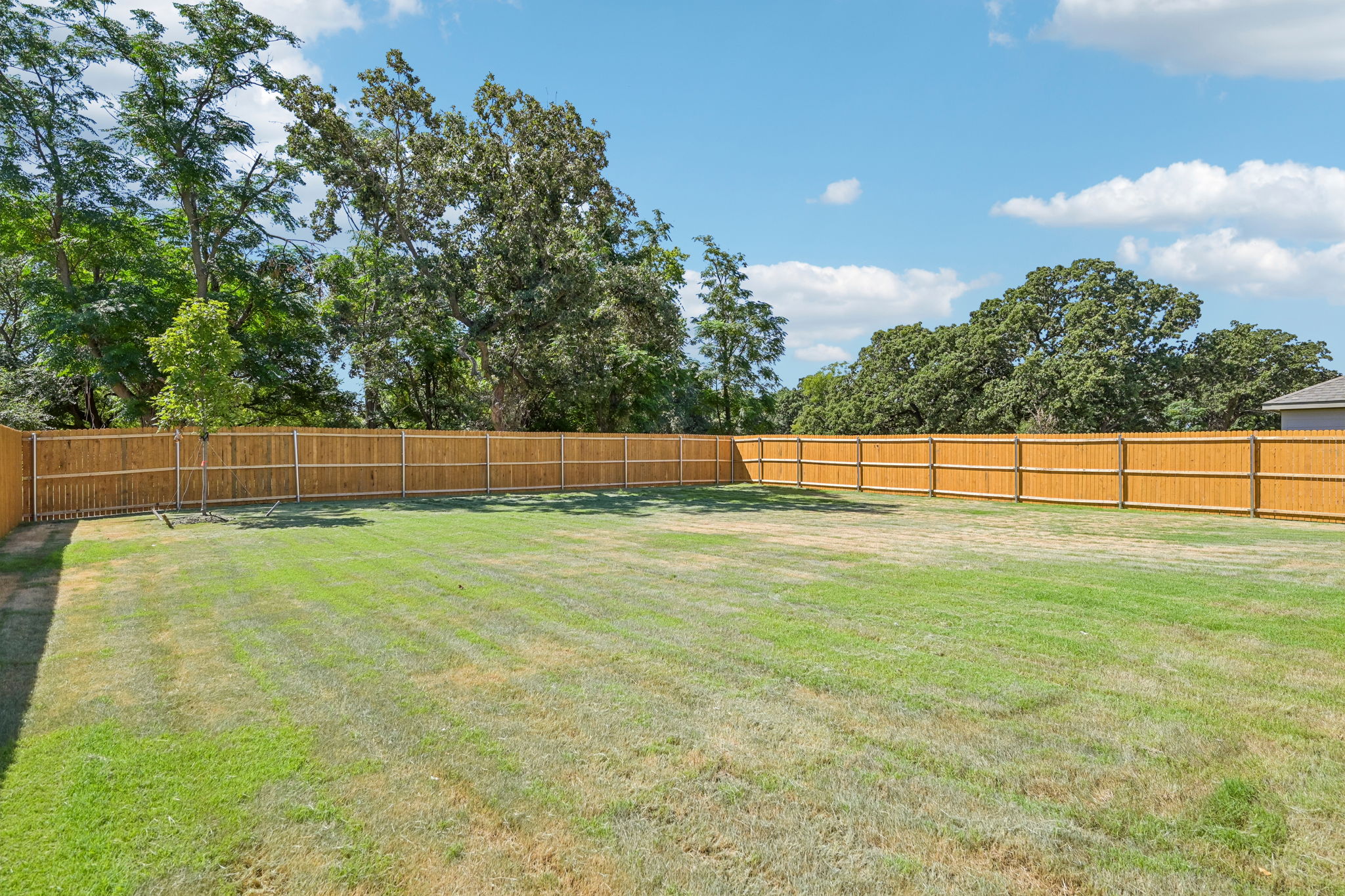 A fenced in yard with trees.