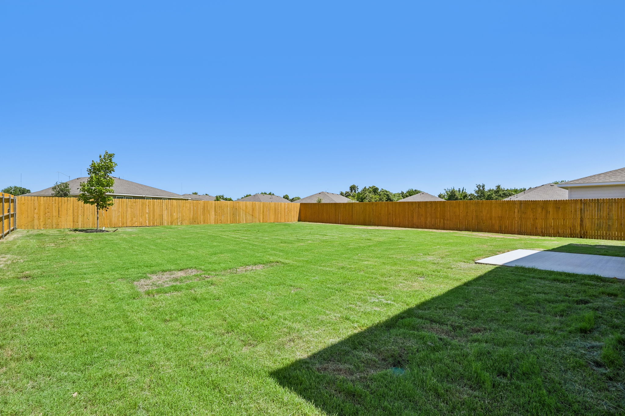 A fenced in yard with a tree and a field in the background.