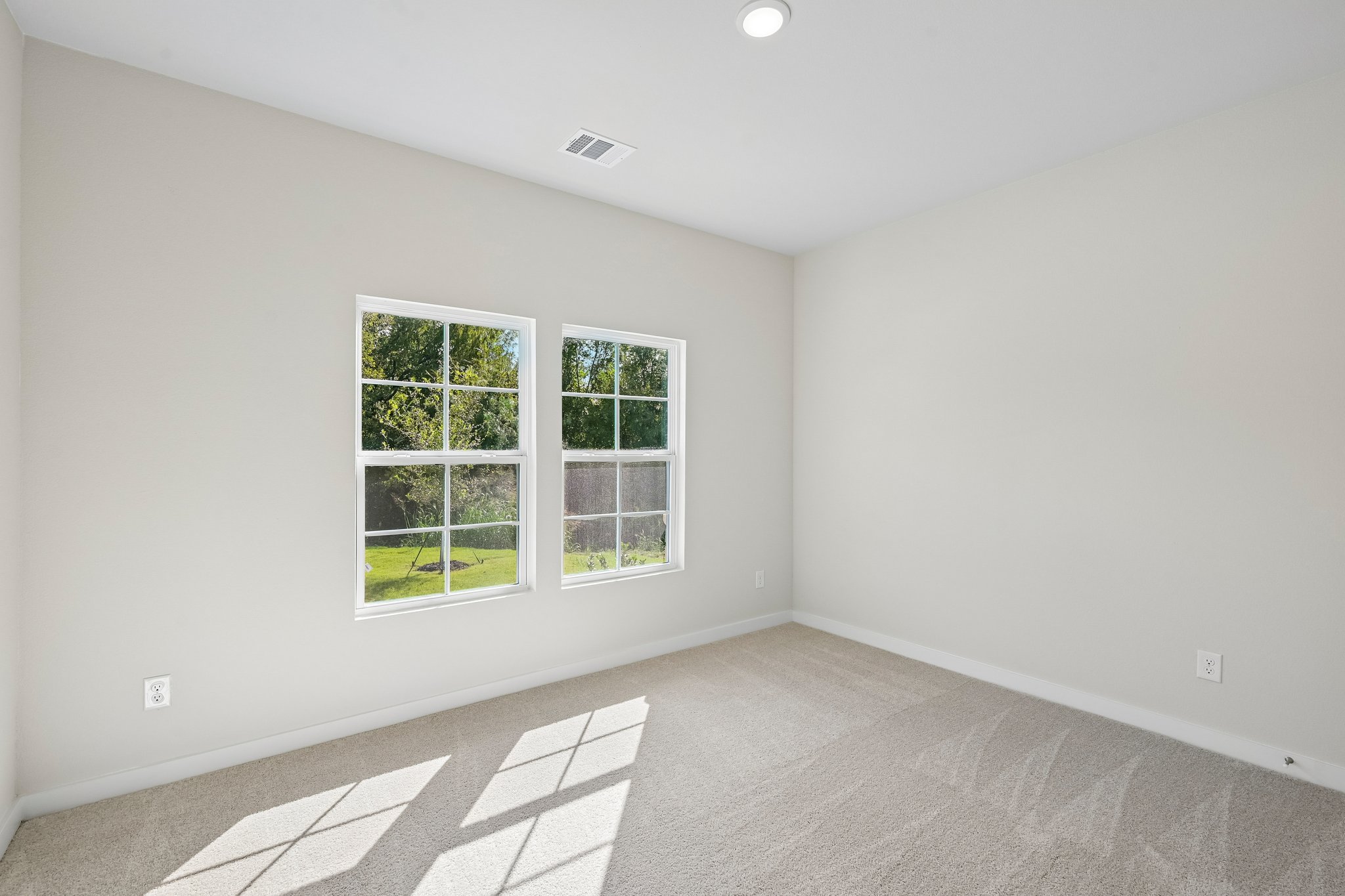 A room with a rug and windows.