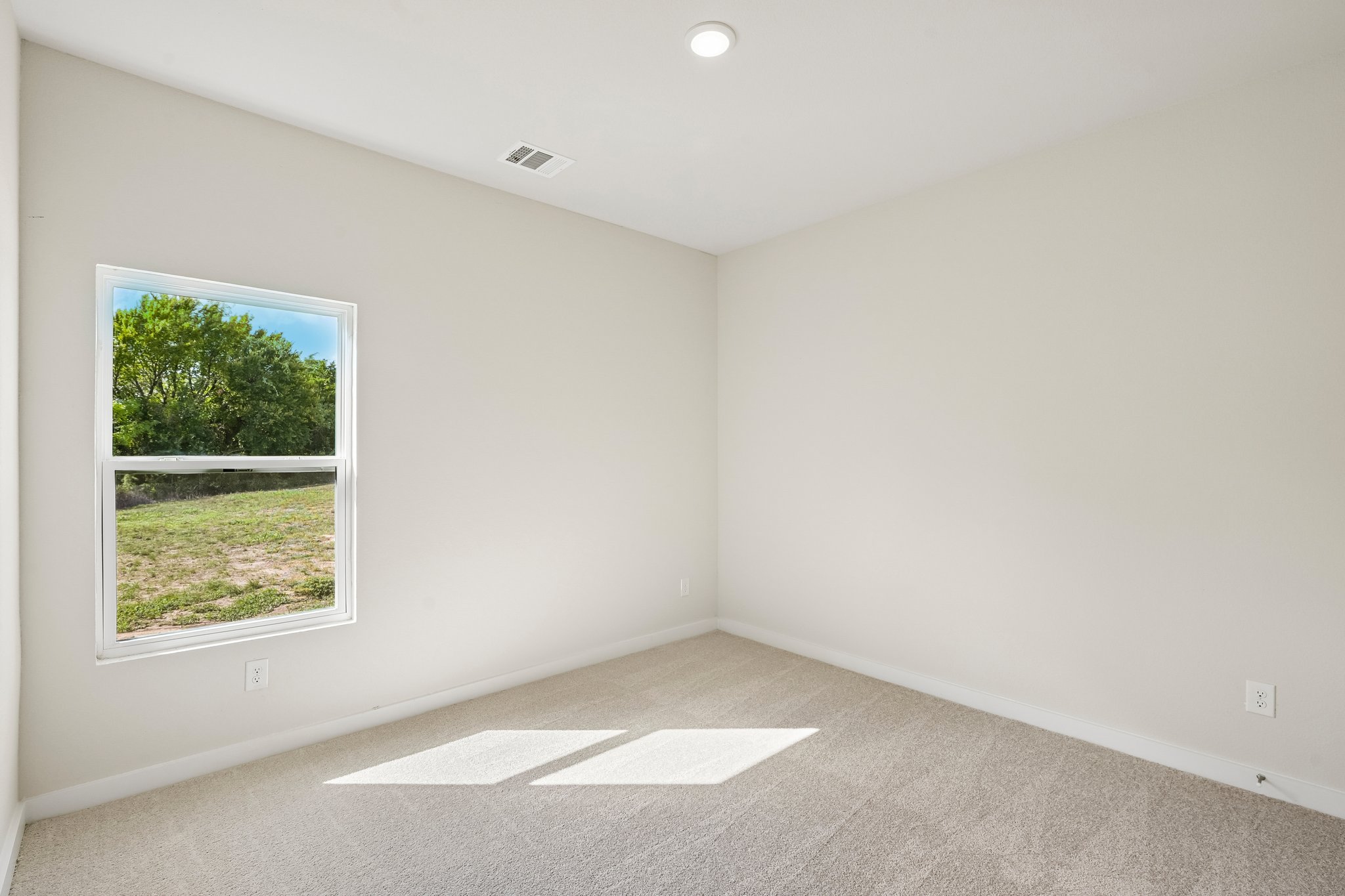 A room with a window and a rug.