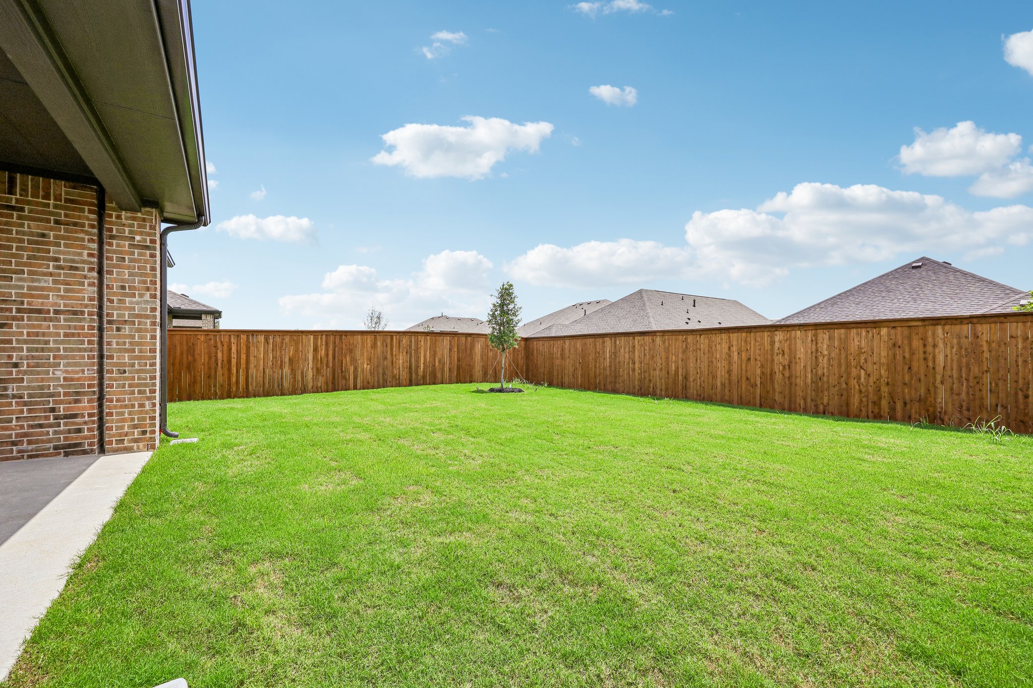 A grassy yard with a fence and a tree.