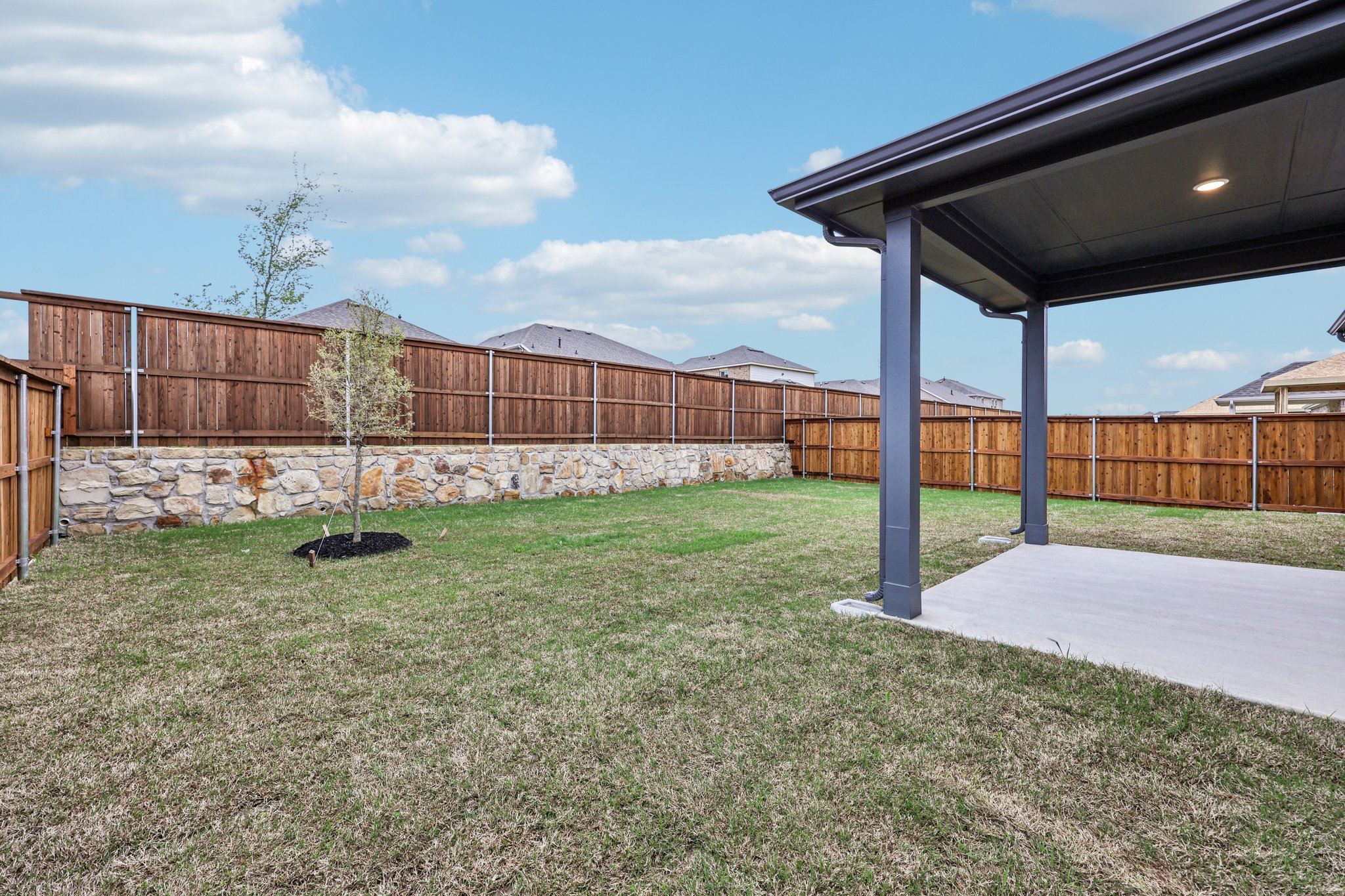 A cat lying on the grass.