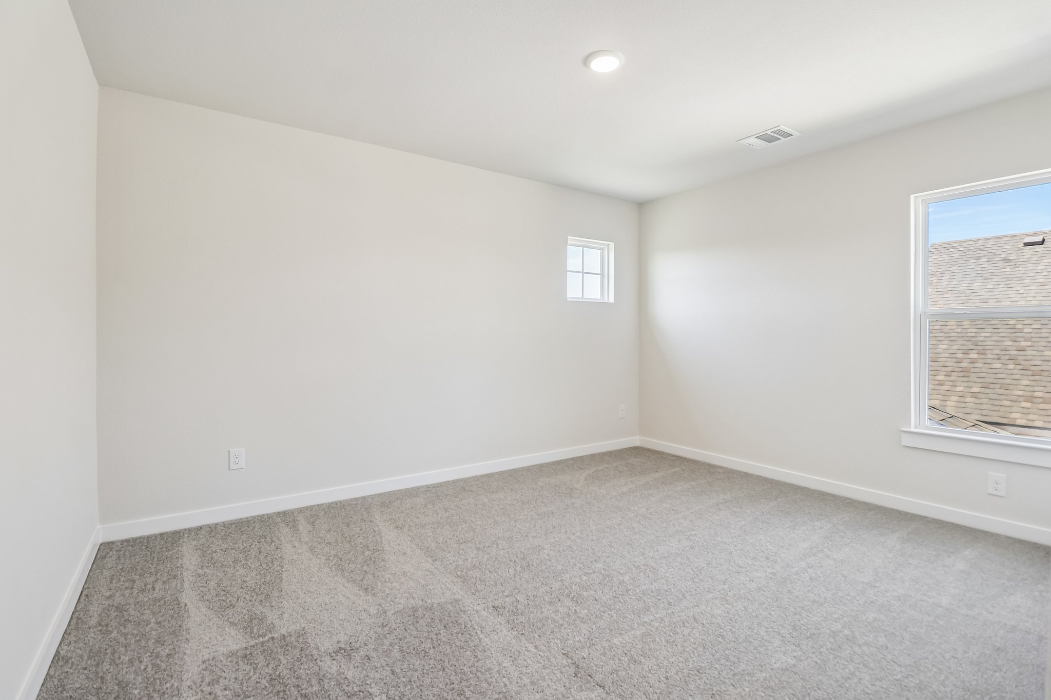 A room with a carpet and windows.