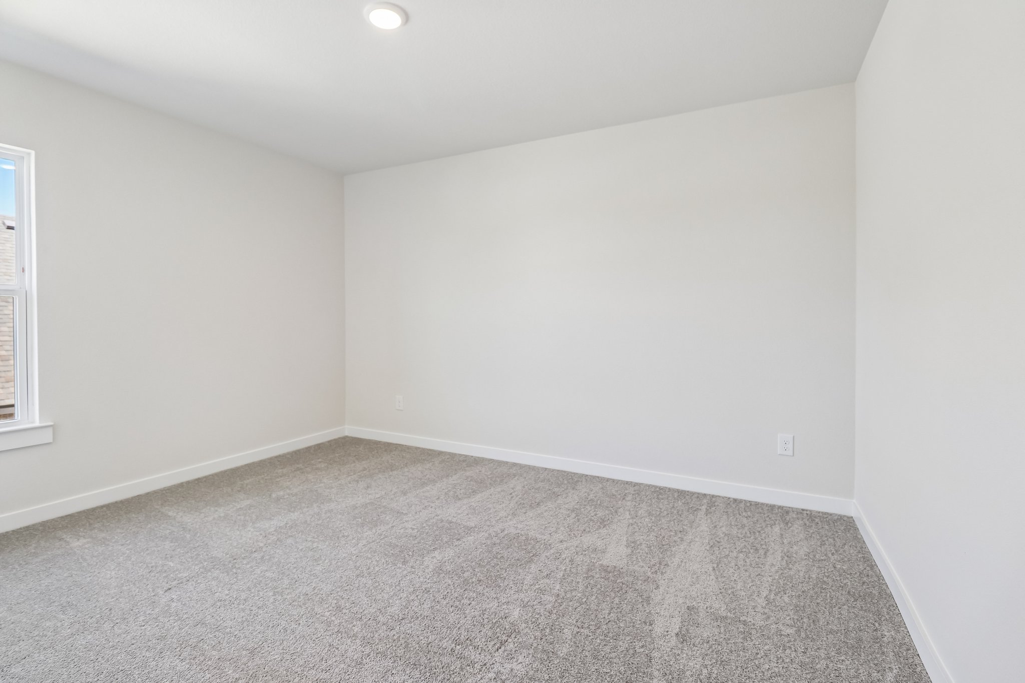 A room with a carpet and a window.
