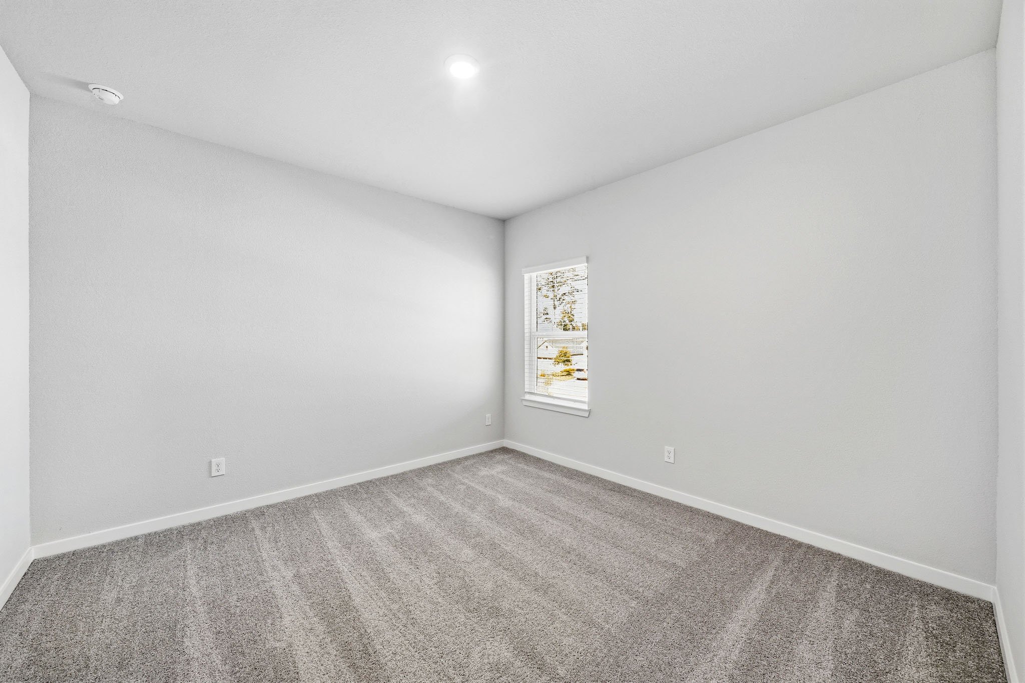 A room with a carpet and a window.