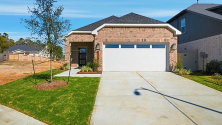 A driveway leading to a house.