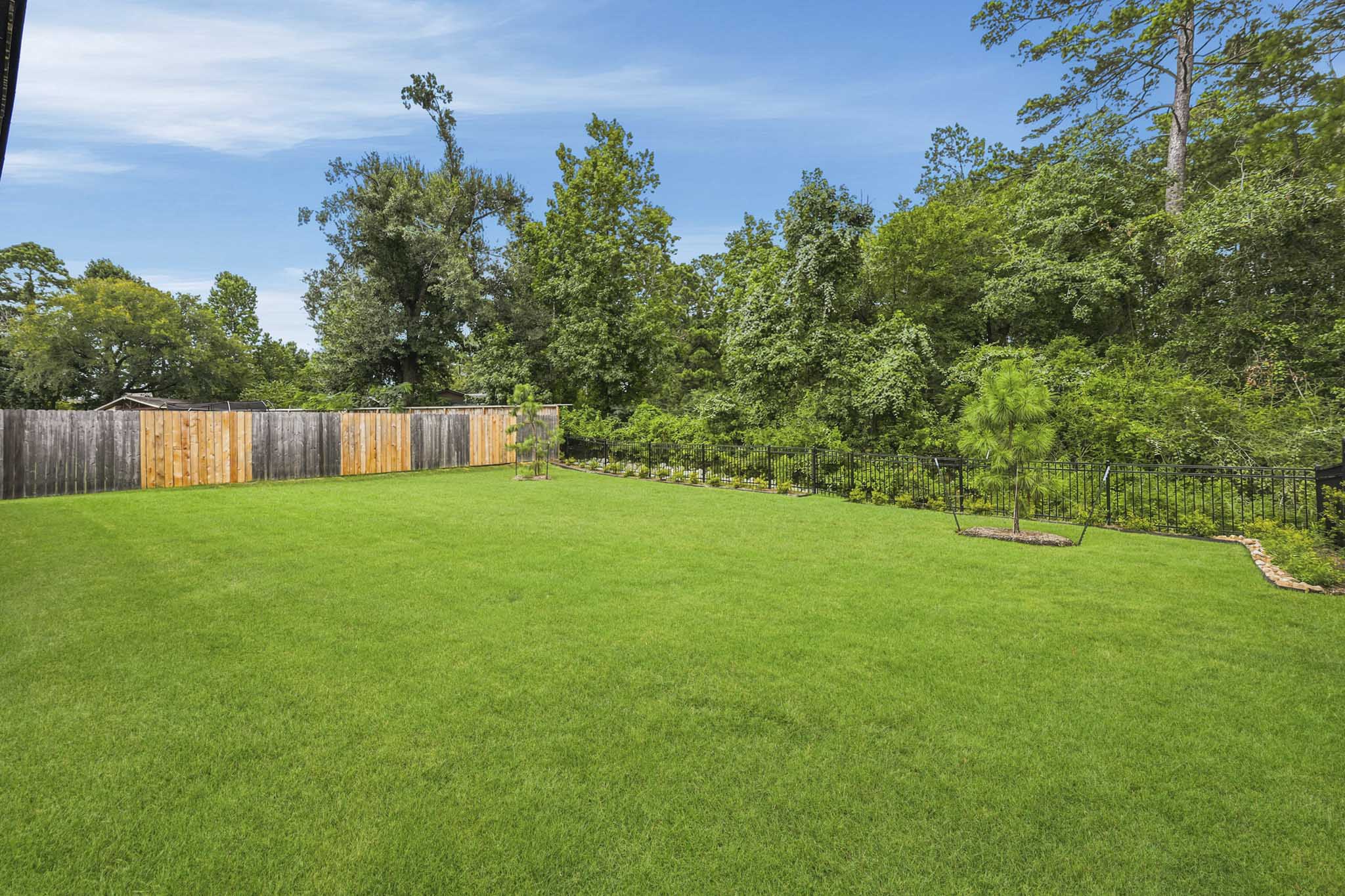 A large green lawn with trees in the background.