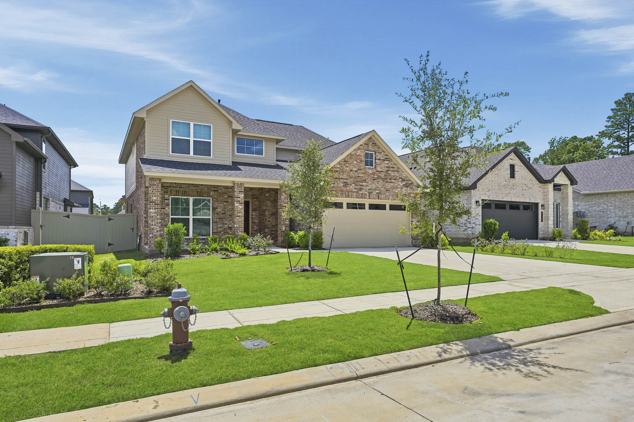 A house with a fire hydrant.