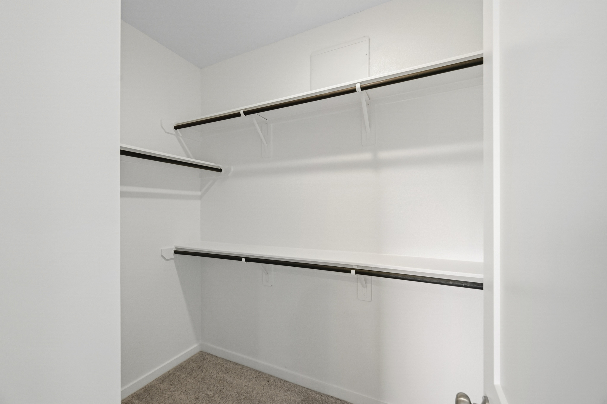 A white shelving unit.