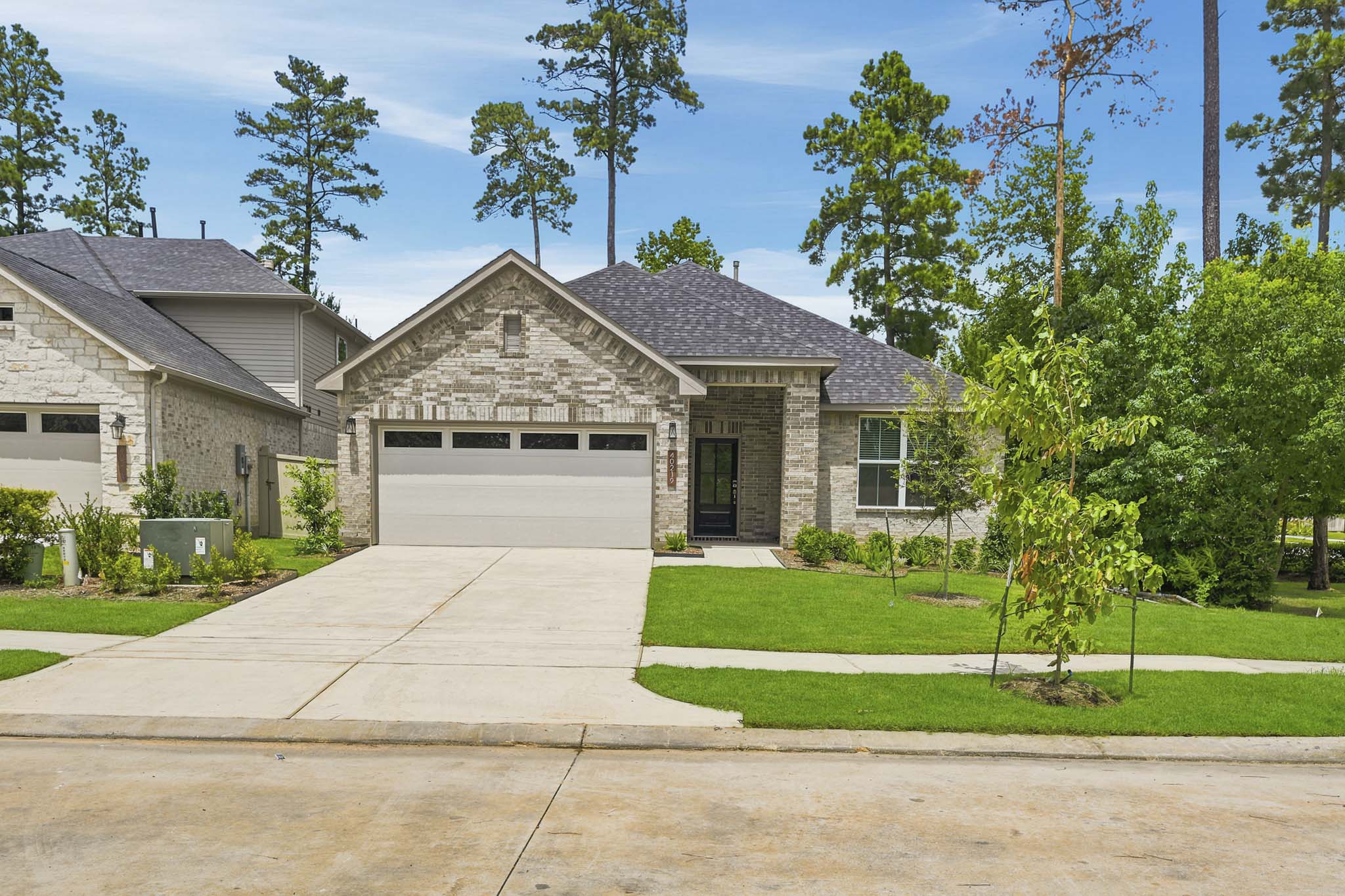 A house with a driveway and trees.