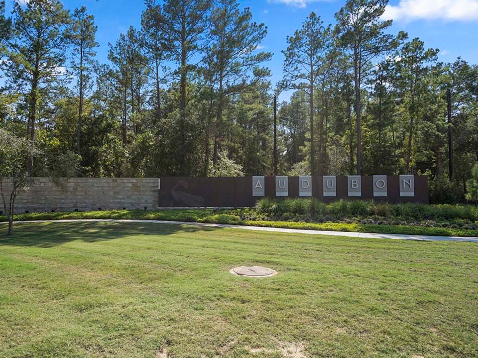 A grassy area with trees in the background.