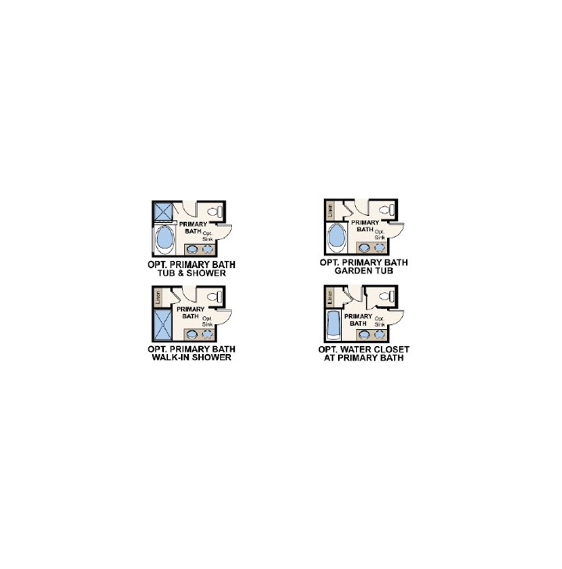 Structural Options for the Navarro