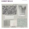 caneymills_intpackages_page_3