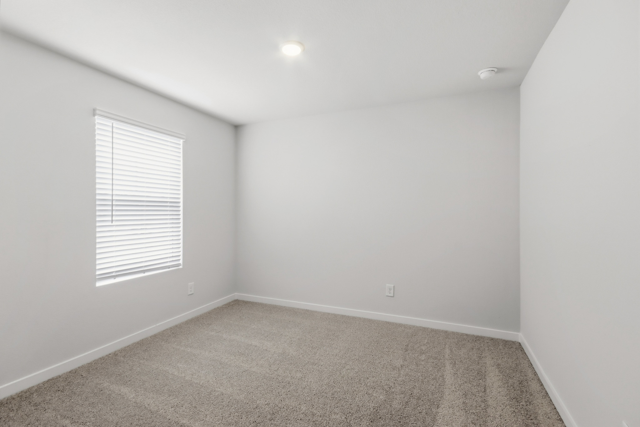 A room with a carpet and a window.