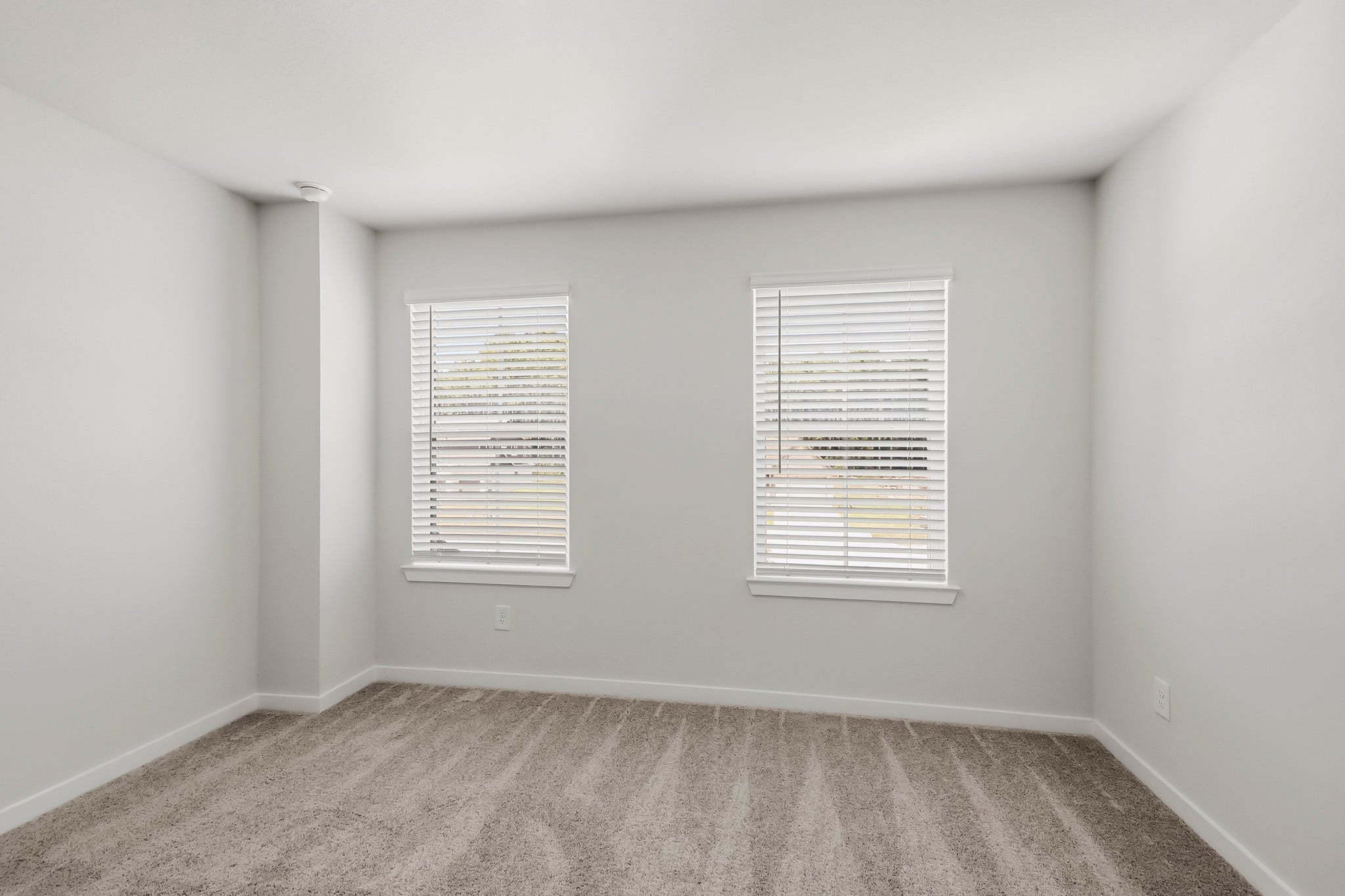 A room with a window and a rug.